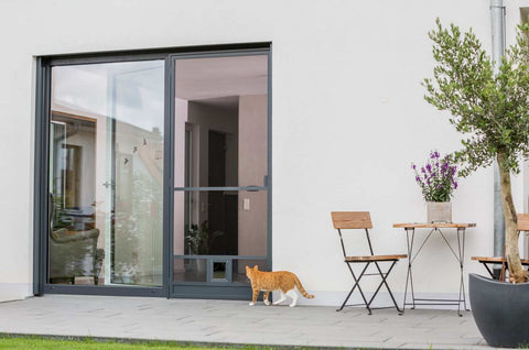 Drehtüre mit Bürstendichtung vor modernem Gartenbereich mit Katze.