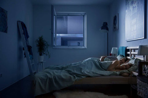 Couple sleeping peacefully with a Spannrahmen SP2/1 insect screen at the window.