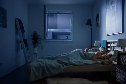 Nie wieder Mücken im Schlafzimmer