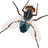 Premium Insektenschutz online konfigurieren & kaufen logo
